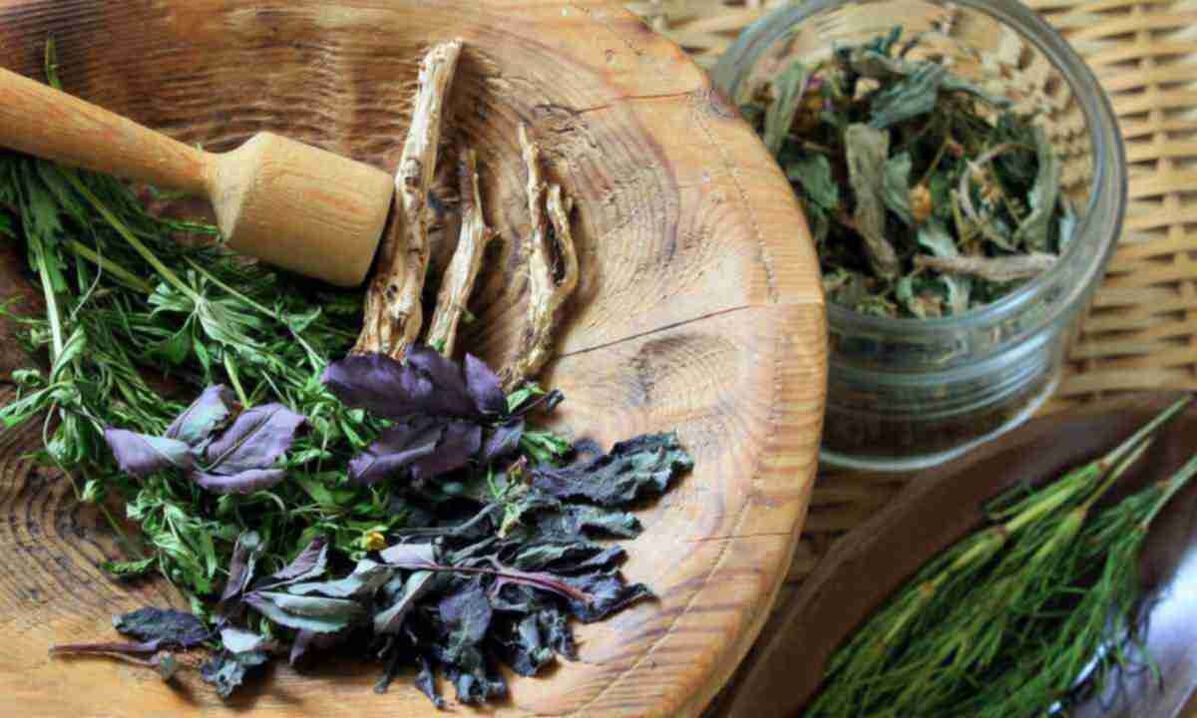 dried herbs for the treatment of cervical osteochondrosis